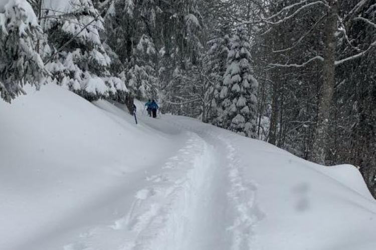 Pour atteindre l'objectif devoir tracer dans 50 cm. de fraîche