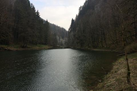 Près de la Charbonnière du Bas