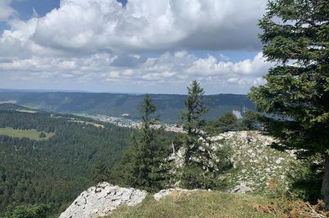 Haut de la Combe Grède côté est